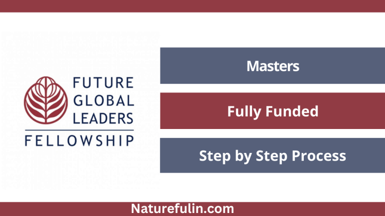 Future Global Leaders Scholarship 2025 (FGL Scholarship)