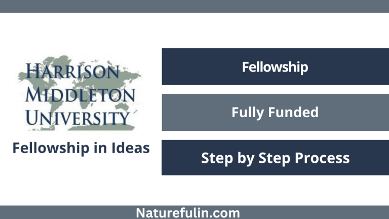 Harrison Middleton University Fellowship in Ideas 2025