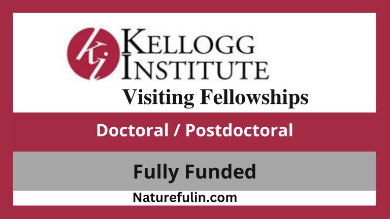 Kellogg Institute Visiting Scholarship 2025 | USA