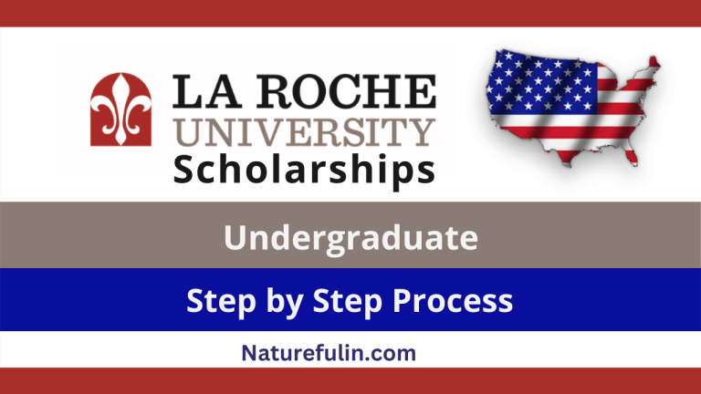 La Roche University Scholarships 2025 (International)