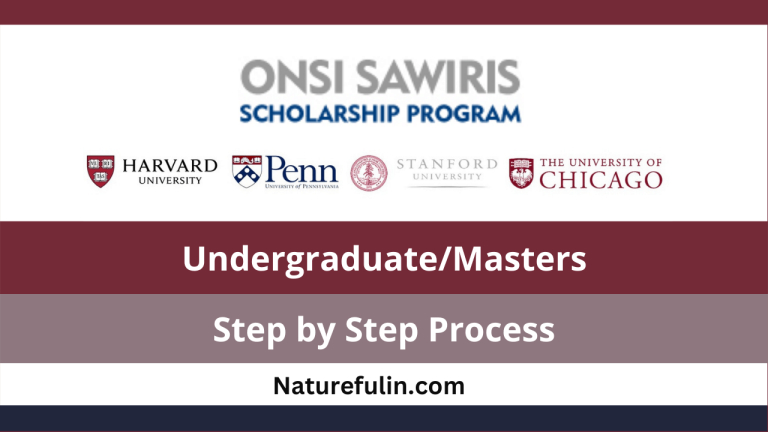 Onsi Sawiris Scholarship Program 2025-2026