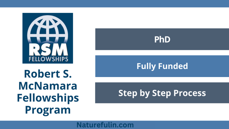 Robert S. McNamara Scholarship Program 2025