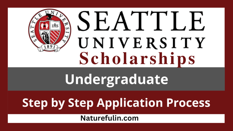 Best Seattle University Scholarships 2025 (Fully Funded)