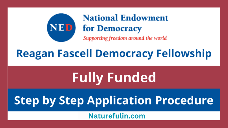 Reagan-Fascell Democracy Scholarship 2025 (Fully Funded)