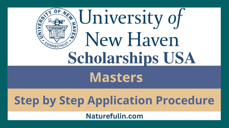 University of New Haven Scholarship 2025 | USA