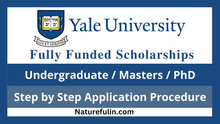 Yale University Scholarships 2025 (Fully Funded)